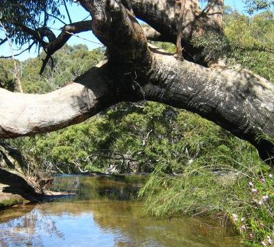 Connect to Country image 1