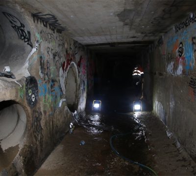 LindaCres_feasture_image