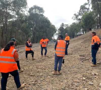 Sustainability image 3